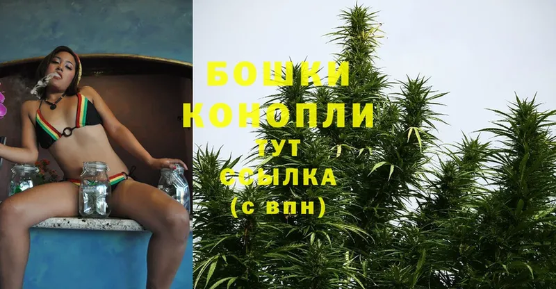 Марихуана SATIVA & INDICA  где купить наркоту  Багратионовск 